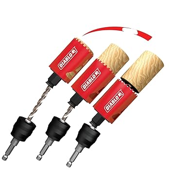 ディアブロセット 61+U0bI9yTL._UF350,350_QL80_.jpg